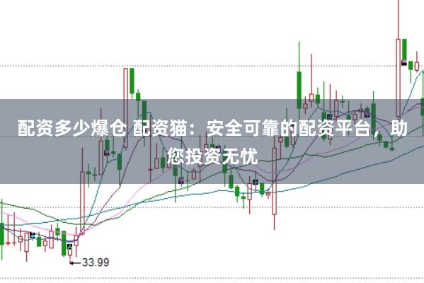 配资多少爆仓 配资猫：安全可靠的配资平台，助您投资无忧
