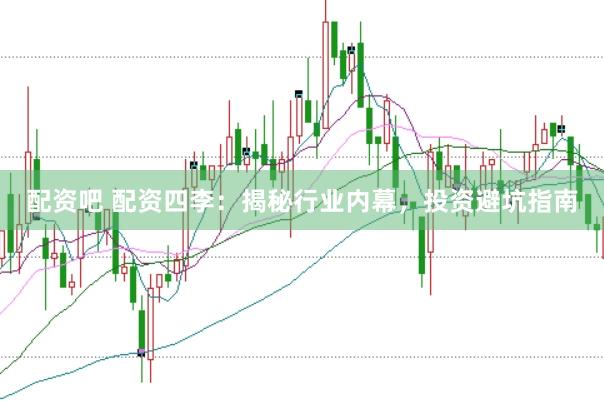 配资吧 配资四李：揭秘行业内幕，投资避坑指南