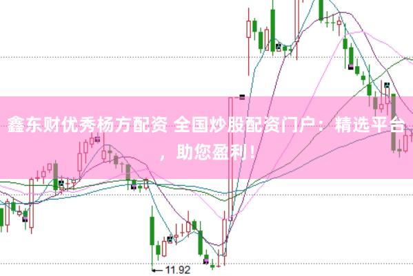 鑫东财优秀杨方配资 全国炒股配资门户：精选平台，助您盈利！