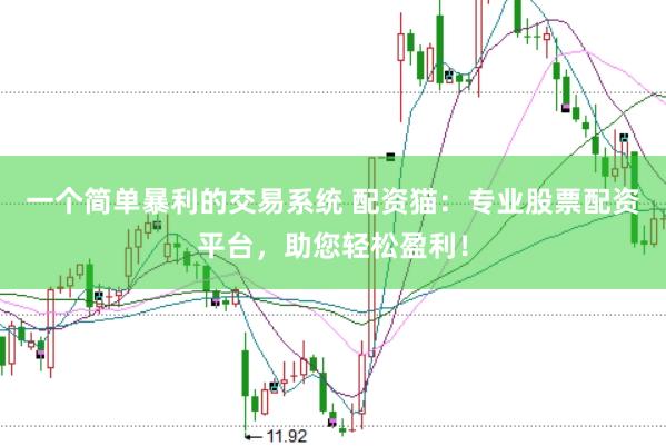 一个简单暴利的交易系统 配资猫：专业股票配资平台，助您轻松盈利！