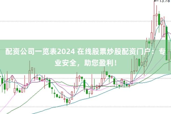 配资公司一览表2024 在线股票炒股配资门户：专业安全，助您盈利！