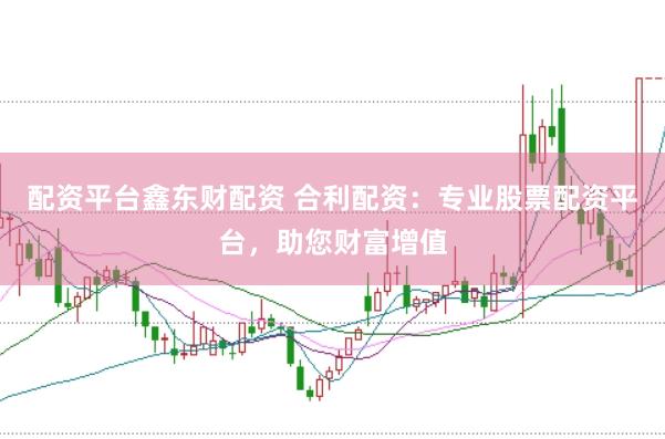 配资平台鑫东财配资 合利配资：专业股票配资平台，助您财富增值